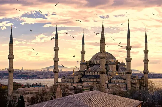 Sea view of Istanbul with birds flying over mosque in cloudy weather download