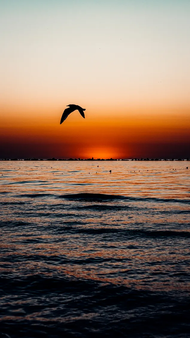 muat turun tepi pantai 2