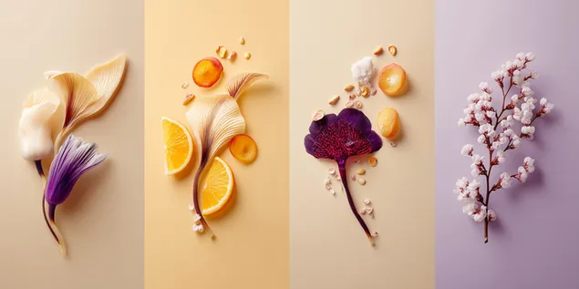 Páipéar balla Eilimintí Bláthanna Séasúracha2K