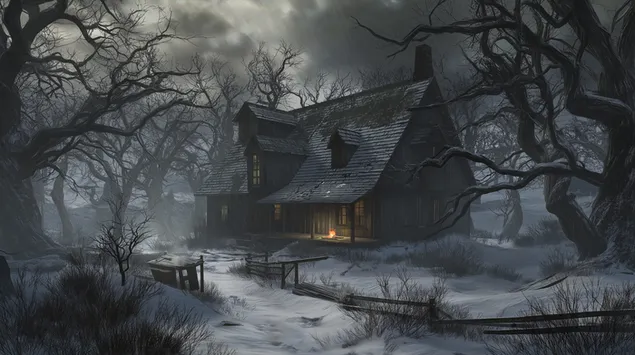 eristaytynyt talvimokki kummittelevassa metsamaisemassa lataa