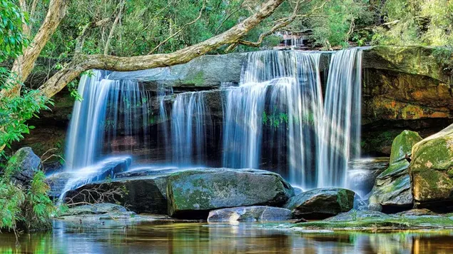 森の木々の間の苔石から流れる滝の魅惑的な美しさ ダウンロード