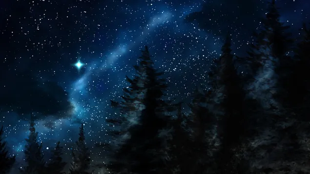 森の中の星空の冬の夜