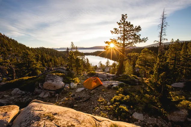 森や岩の木の葉を通して日光が差し込むキャンプ テント