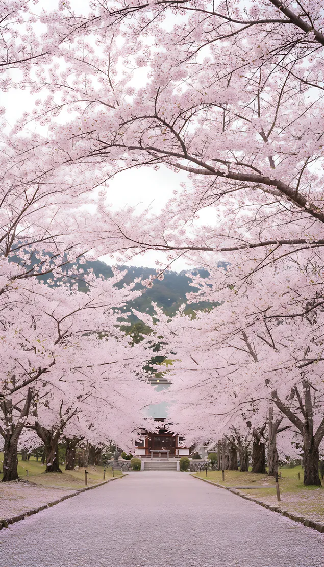 spokoyna p''teka s ts''ftyashchi chereshi prez proletta izteglyane