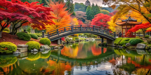 Kopsht i qetë japonez në vjeshtë me pemë panje të zjarrta 4K sfond