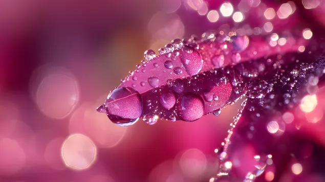 Ruhige Makroansicht von kristallklaren Wassertropfen 8K Hintergrundbild