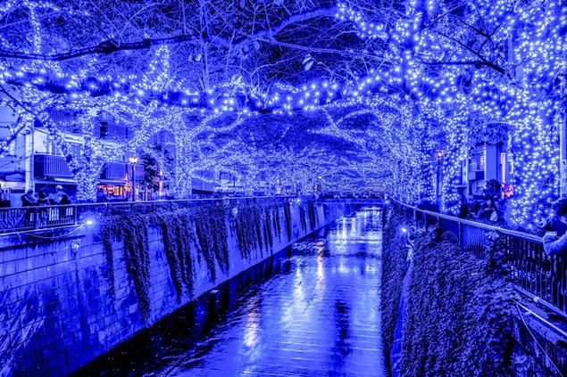 Sesión de fotos bajo árboles con luces azules en la ciudad de Tokio