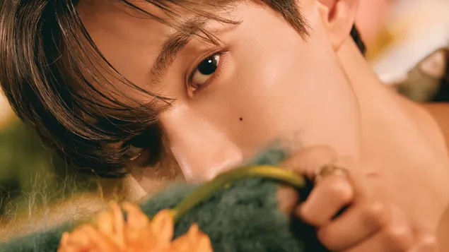 Seventeen's DK | آماده به عشق MV Shoot کاغذدیواری  4K