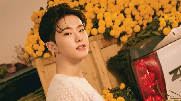 十七的星 | 准备恋爱MV拍摄 4K 壁纸