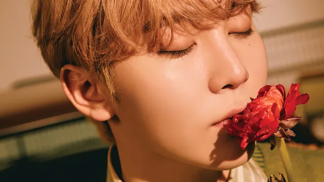 十七岁的胜宽 | 准备恋爱MV拍摄 4K 壁纸