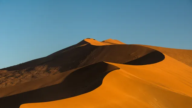 砂丘ナミブ砂漠