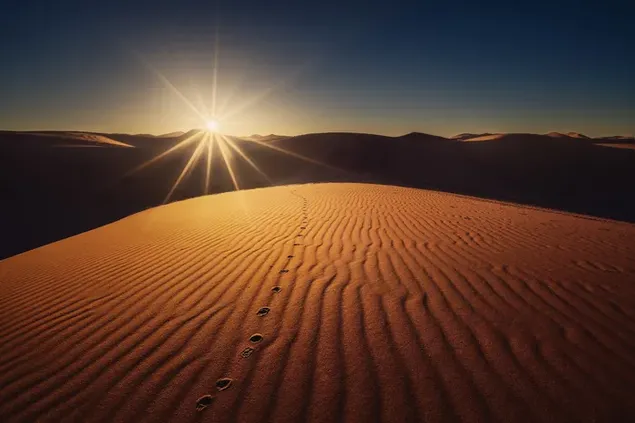 Shadows on the desert sands of the sun rising after the dunes