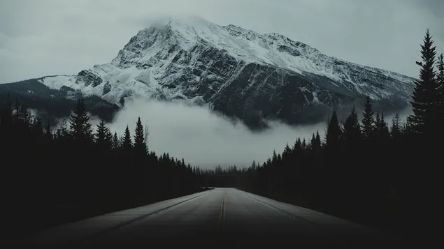 山への霧の道