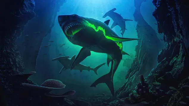 海の深さのサメ 4K 壁紙
