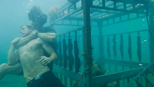 zraloci noc stahnout