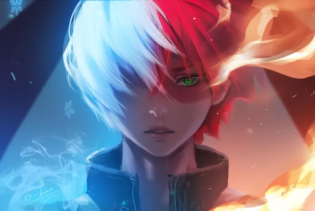 Shoto Todoroki #1