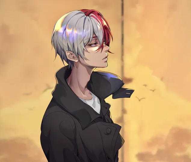 Shoto Todoroki #5 HD wallpaper
