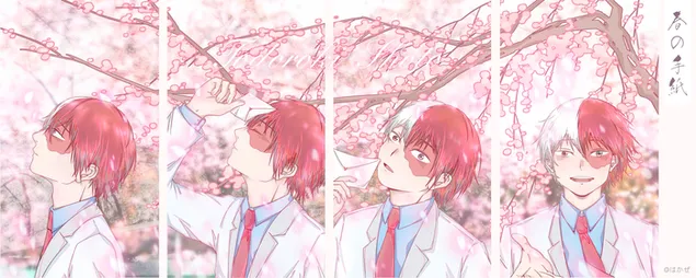 Shoto Todoroki #6 2K wallpaper