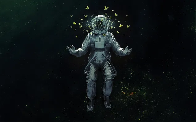 Silueta de astronauta con mariposas volando 2K fondo de pantalla