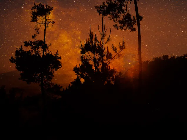 Silhouet van bos 2K achtergrond