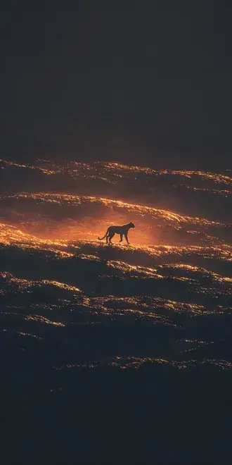 silhouette of wild panther walking on glowing golden liquid waves in dark night landscape