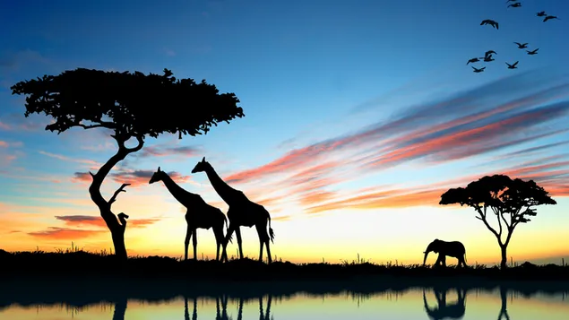 Silhouetten van giraffen, vogels en babyolifant weerspiegeld in water onder kleurrijke wolken op safari 8K achtergrond