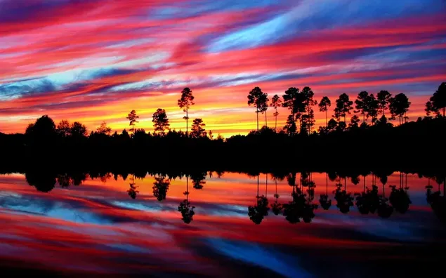 Siluetas de árboles reflejadas en el lago en las luces de la nube roja al amanecer.