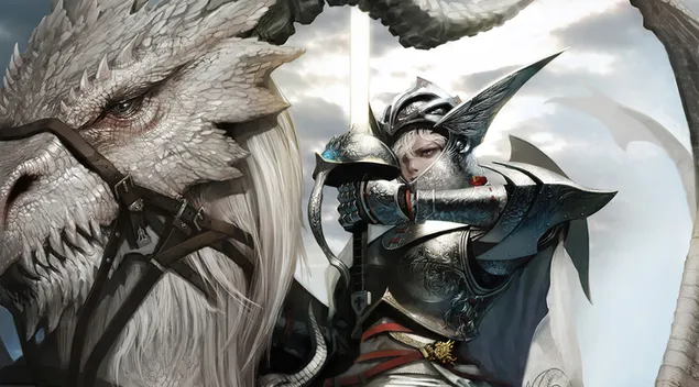 Silver Armor,Dragon Rider Girl