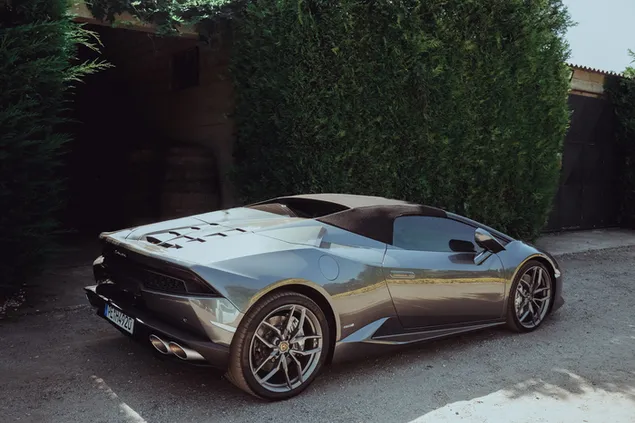 Zilveren Lamborghini-sportwagen geparkeerd in de buurt van Bush