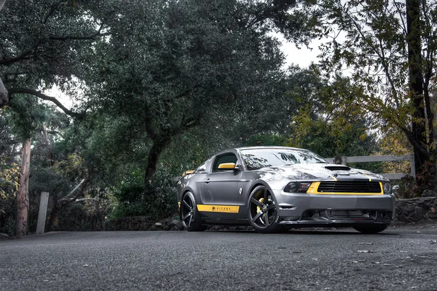 Silberner Mustang GT-Sportwagen und gelbe Details 2K Hintergrundbild