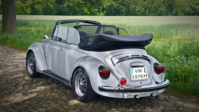 Silbernes Volkswagen-Käfer-Cabrio-Coupé tagsüber 4K Hintergrundbild