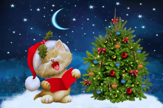 Singing cat 4K wallpaper