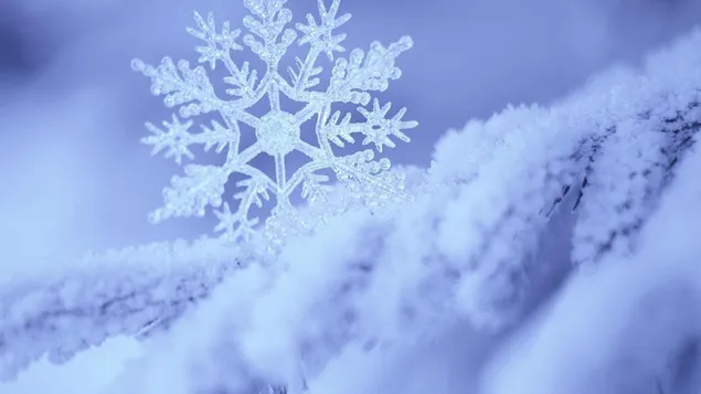 Solo copo de nieve y nieve 2K fondo de pantalla