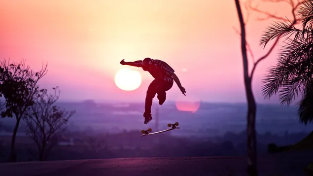 Skateboarden met acrobatische bewegingen op de weg naast de bomen download