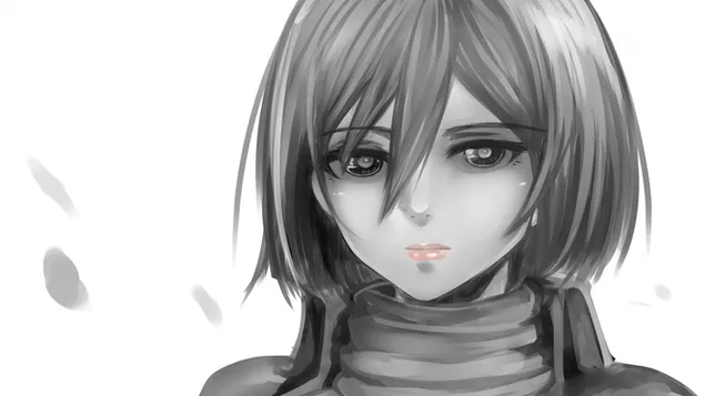 Boceto de Sweet Mikasa con labios rosados. HD fondo de pantalla