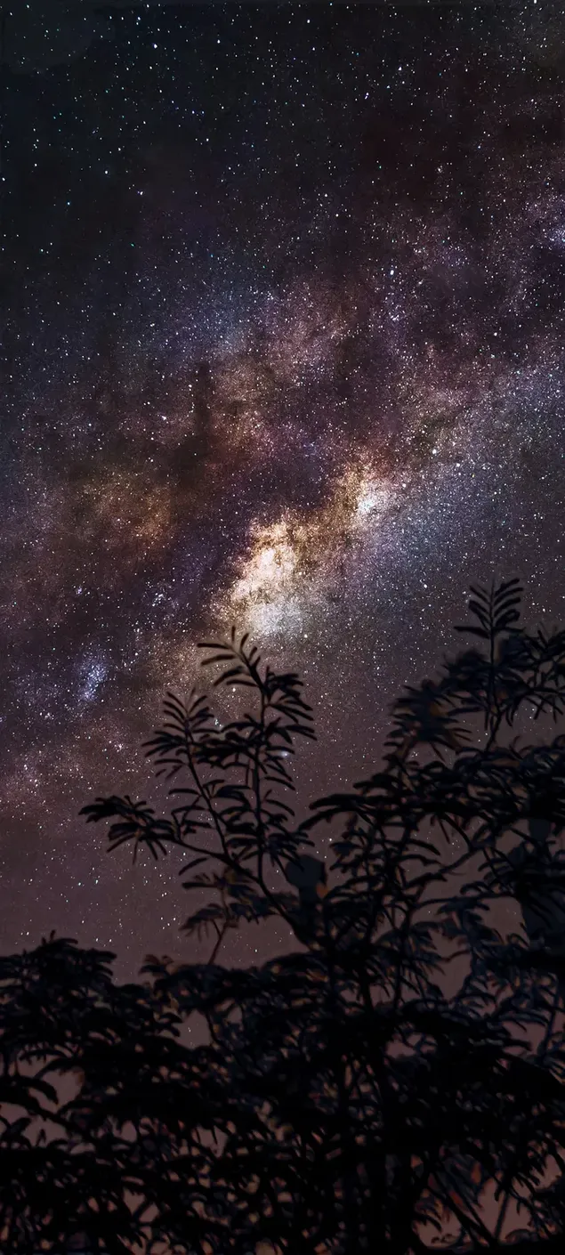 Most downloaded Night-sky wallpapers, Night-sky for iPhone, desktop, tablet  devices and also for samsung and Xiaomi mobile phones | Page 1