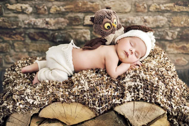 Muat turun Bayi comel tidur di atas hutan