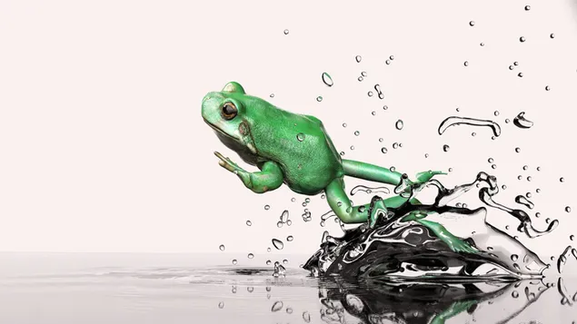Petita granota verda salta fora de l'aigua baixada