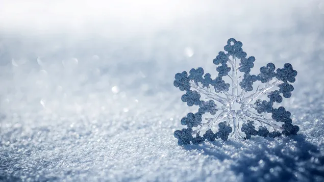 Snow and snowflake download