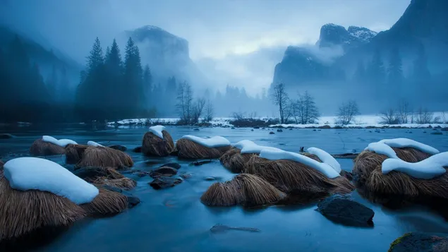 Snow covered dried plants on lake water with misty hills and foggy trees