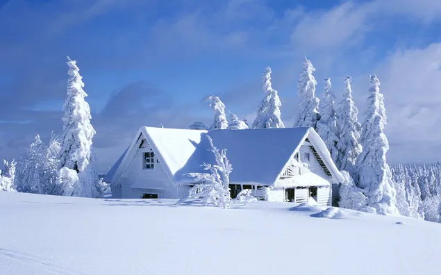 Rumah tertutup salju di tengah hutan
