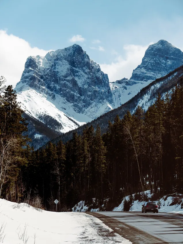 Snow Covered Mountain And Trees 4K wallpaper