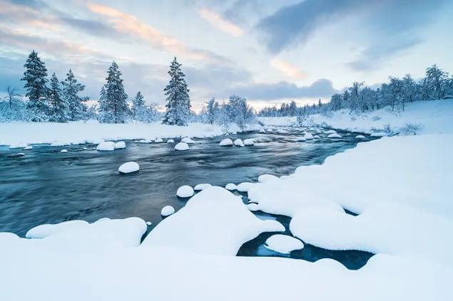 Schneebedeckte Bäume und Blick auf den Fluss 8K Hintergrundbild