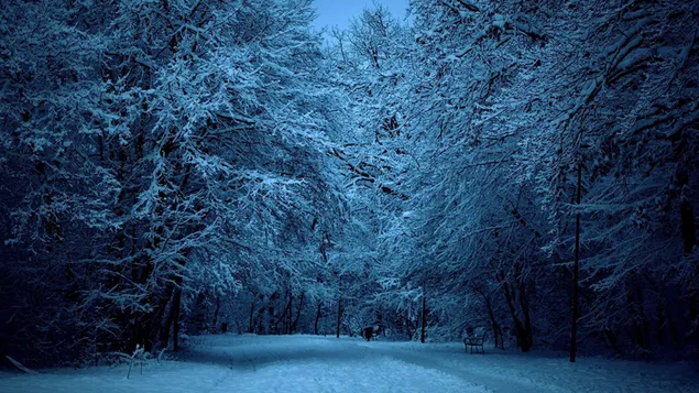 Jalan musim dingin yang tertutup salju saat senja