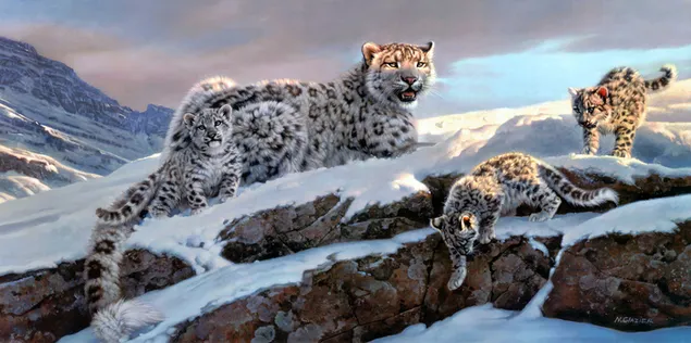 Leopardos de las nieves en la nieve descargar