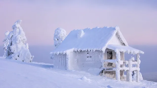 Schneeweiß bedeckte Hütte und Bäume