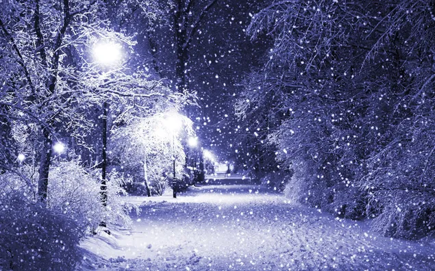冬の夜の降雪