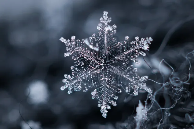 Copo de nieve en invierno 2K fondo de pantalla