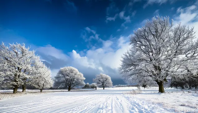 منظر طبيعي للثلوج 2K خلفية