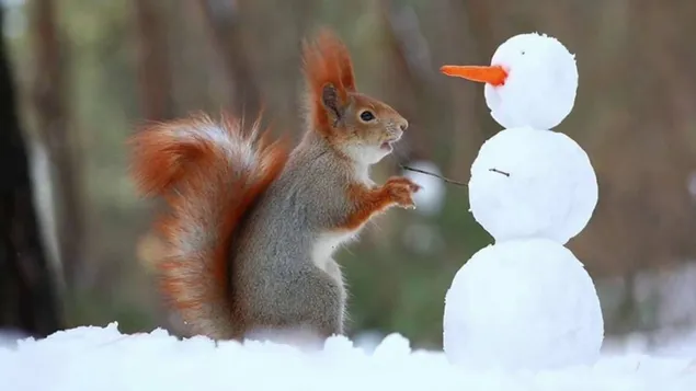 Snemand og egern i sløret baggrund download